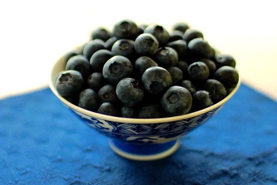 a bowl of blueberries (by :mohini:)